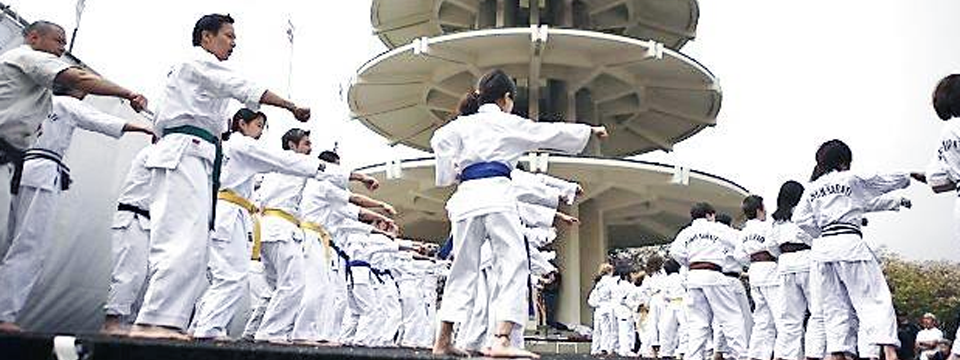 Together at Cherry Blossom Festival