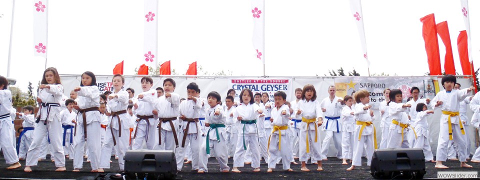 Kids demonstration at Cherry Blossom Festival