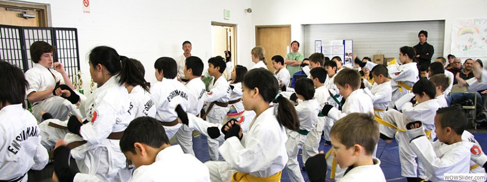 Enshin Karate SF thumbnail 4