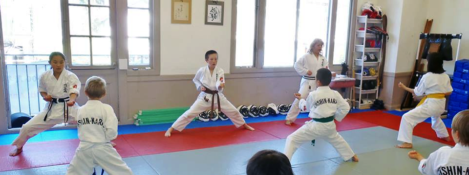 Enshin Karate SF thumbnail 5
